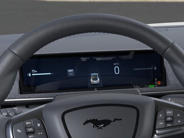 New 2025 Ford Mustang Mach-E - photo 15