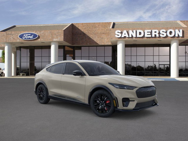 New 2025 Ford Mustang Mach-E - photo 9