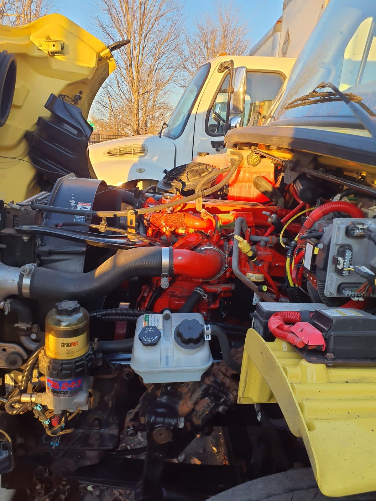 Used 2016 Freightliner M2 106 - photo 11