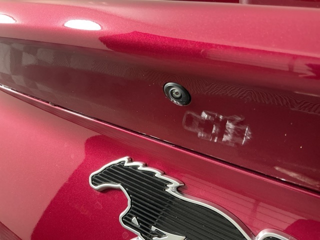 New 2025 Ford Mustang Mach-E - photo 11